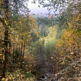 Review photo of South Fork Sauk River by Jennifer H., October 20, 2023