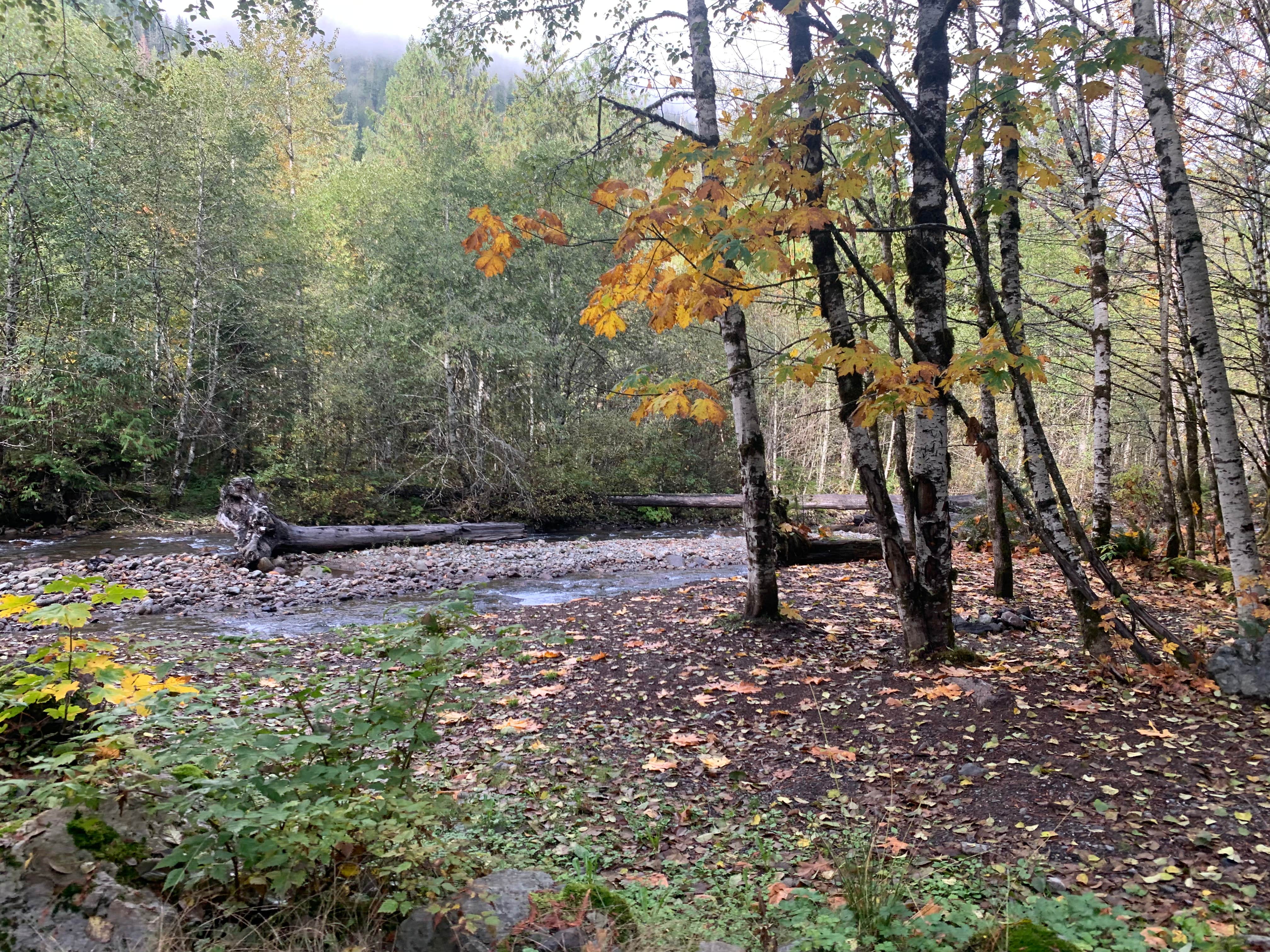 South Fork Sauk River