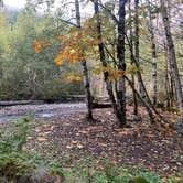 Review photo of South Fork Sauk River by Jennifer H., October 20, 2023