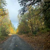 Review photo of South Fork Sauk River by Jennifer H., October 20, 2023