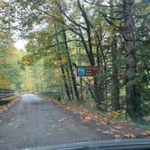 Review photo of South Fork Sauk River by Jennifer H., October 20, 2023