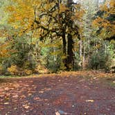 Review photo of South Fork Sauk River by Jennifer H., October 20, 2023