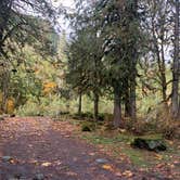 Review photo of South Fork Sauk River by Jennifer H., October 20, 2023