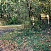 Review photo of South Fork Sauk River by Jennifer H., October 20, 2023