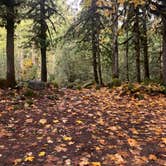 Review photo of South Fork Sauk River by Jennifer H., October 20, 2023