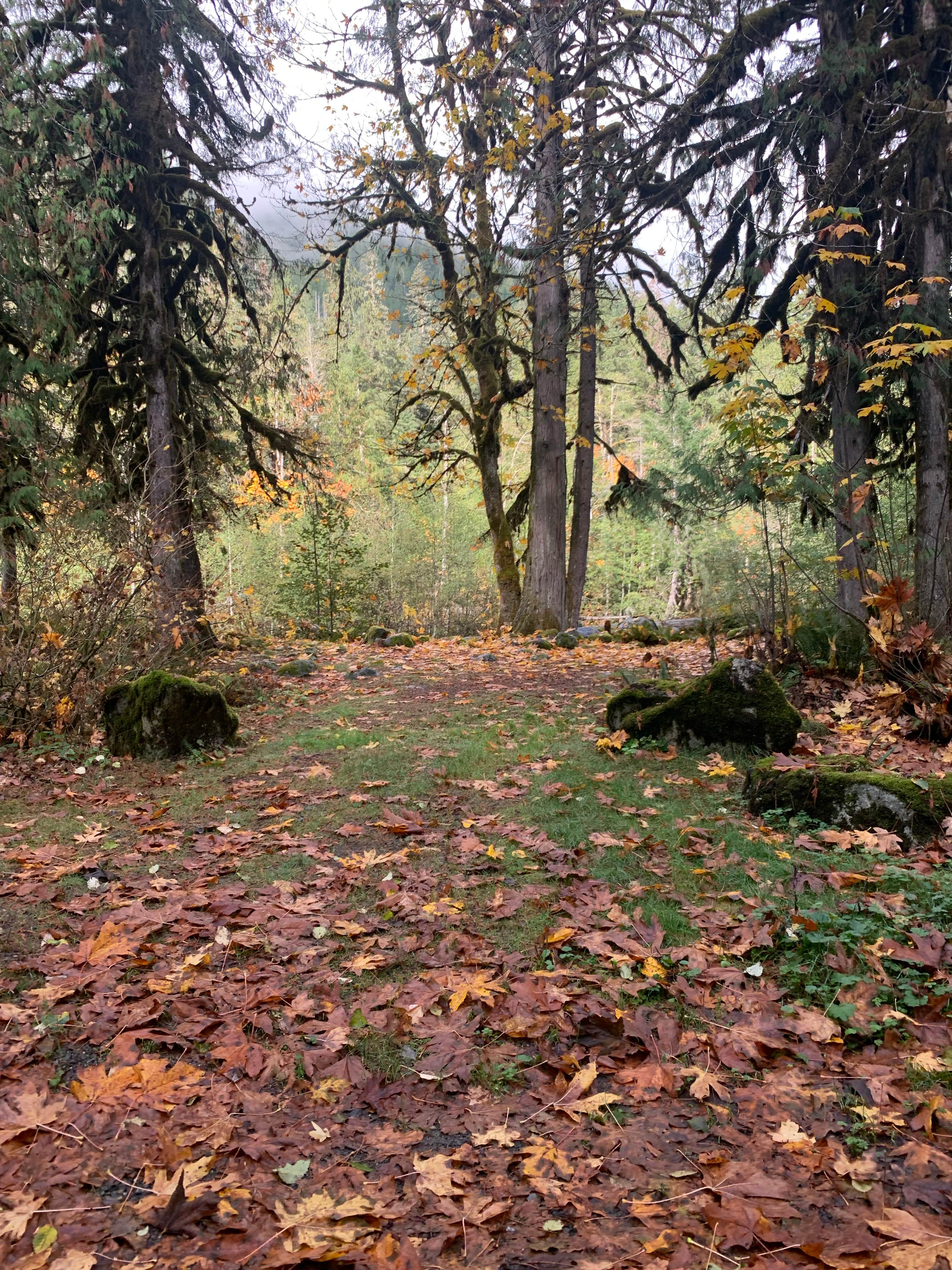 Camper submitted image from South Fork Sauk River - 1