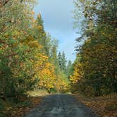 Review photo of South Fork Sauk River by Jennifer H., October 20, 2023