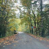 Review photo of South Fork Sauk River by Jennifer H., October 20, 2023