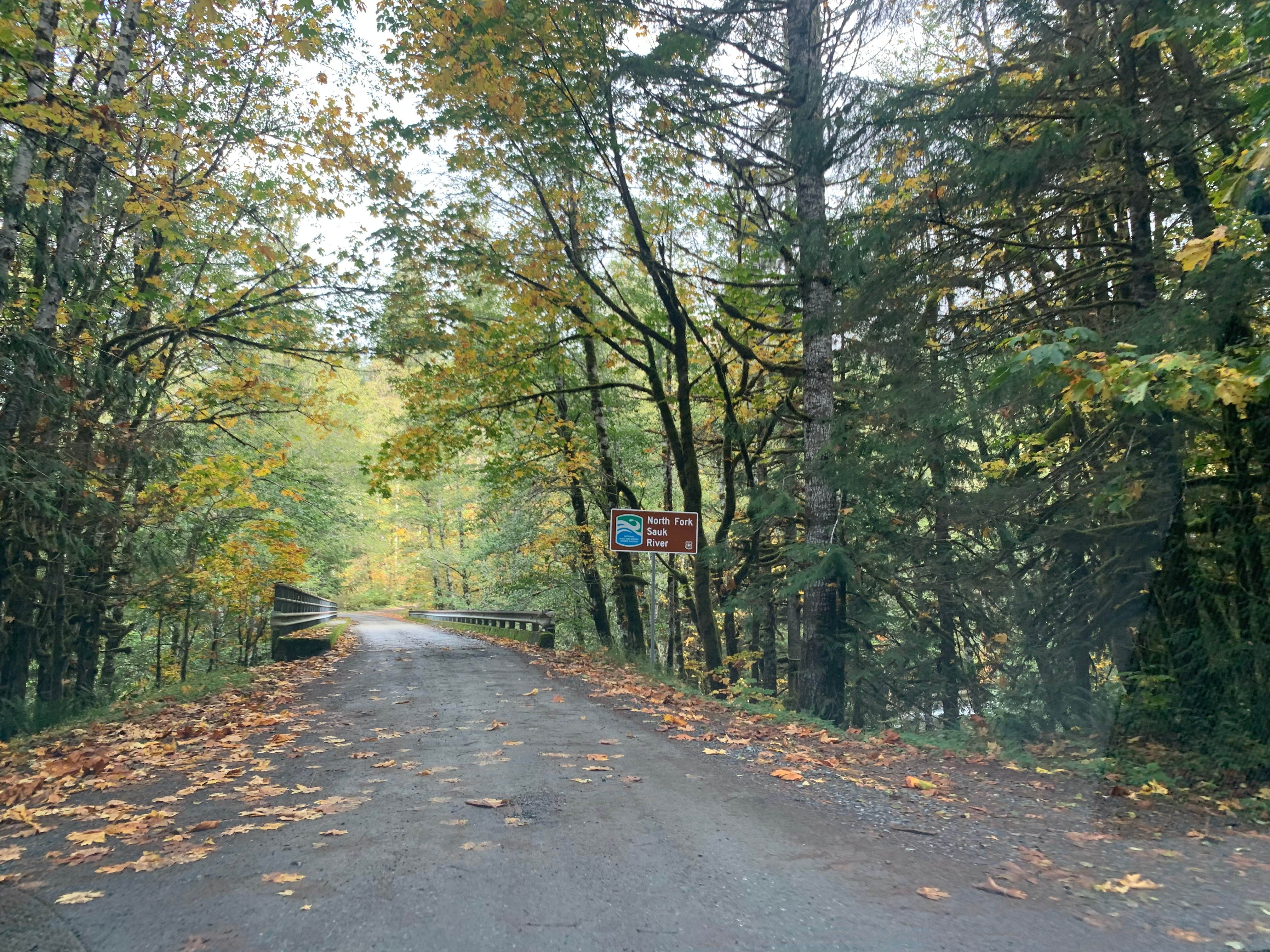 Camper submitted image from South Fork Sauk River - 4