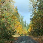 Review photo of South Fork Sauk River by Jennifer H., October 20, 2023