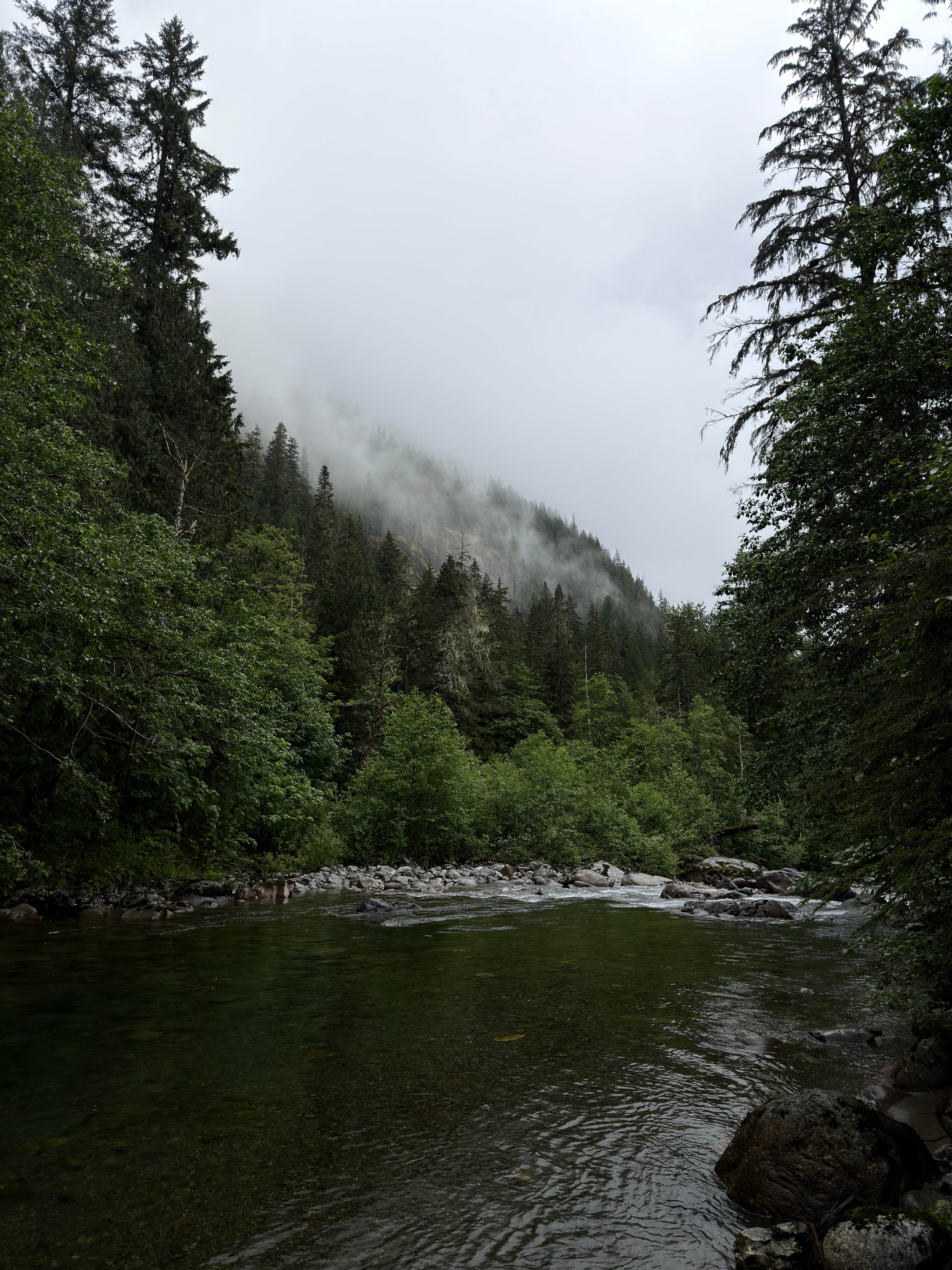 Camper-submitted photo at South Fork Sauk River near Mt. Baker-Snoqualmie National Forest