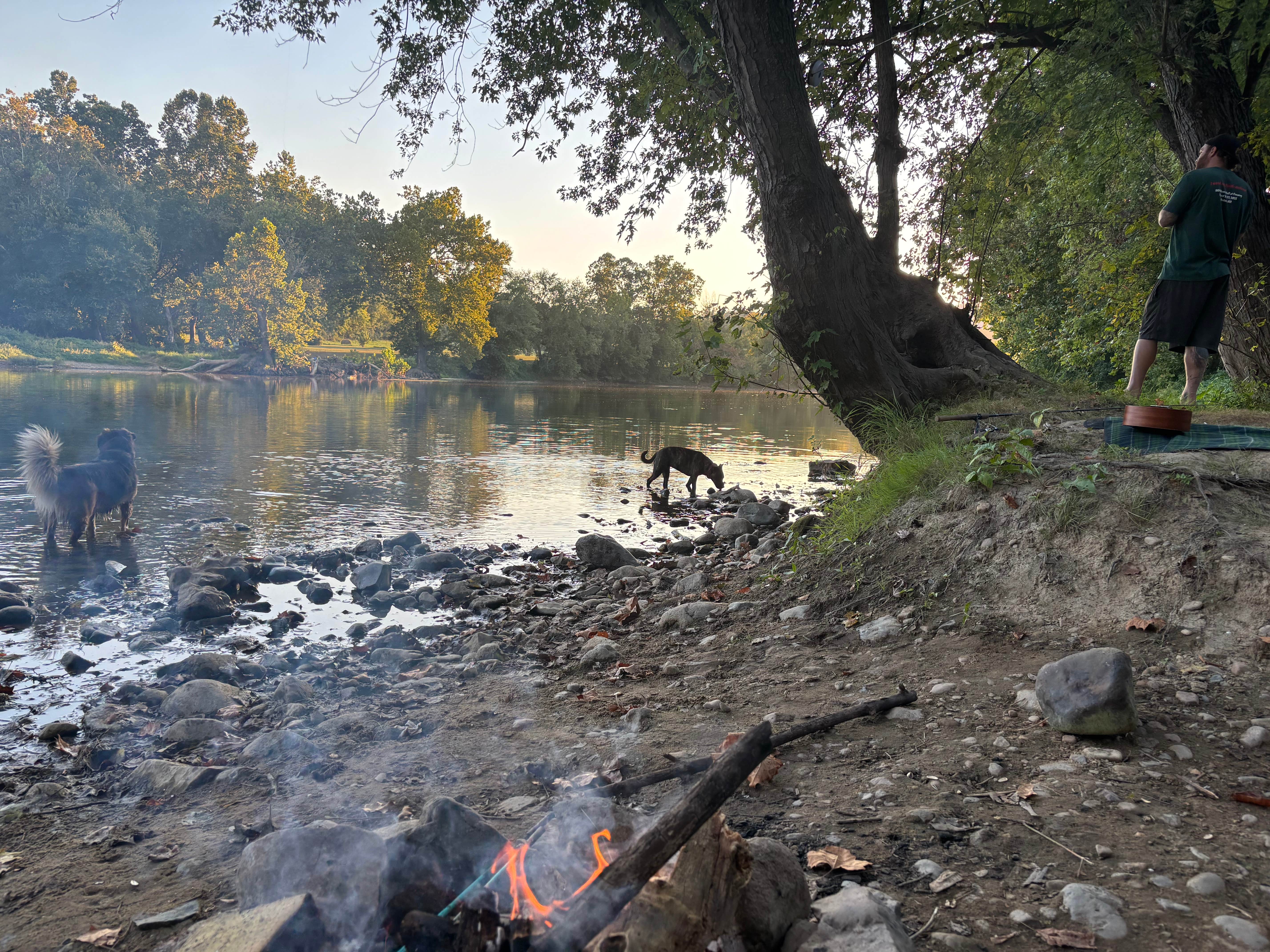 Justine I.'s photo of camping with pets at South Fork Shenandoah River near Luray, VA