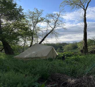 Camper-submitted photo from South Fork Shenandoah River