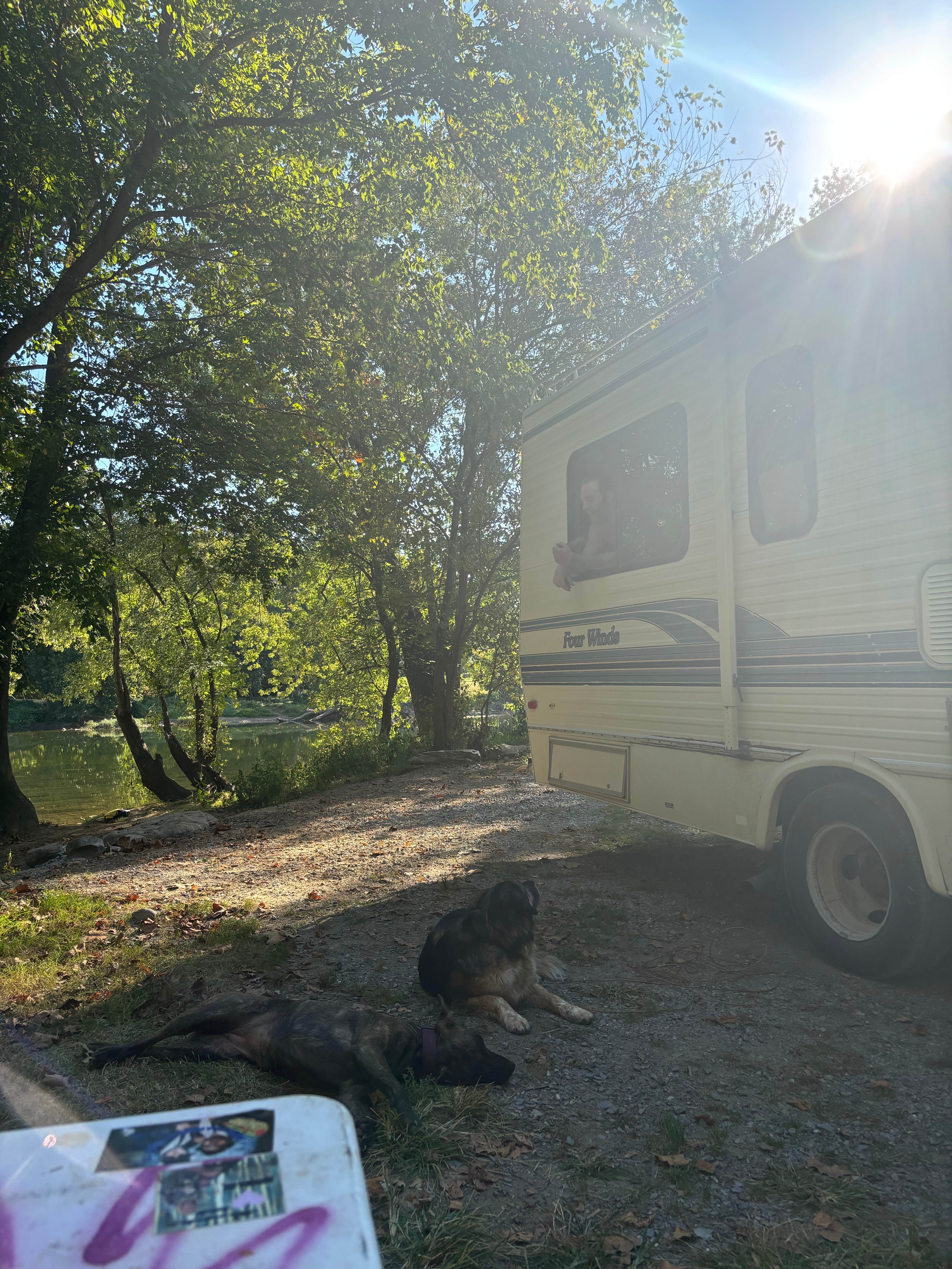 Justine I.'s photo of camping with pets at South Fork Shenandoah River near Toms Brook, VA