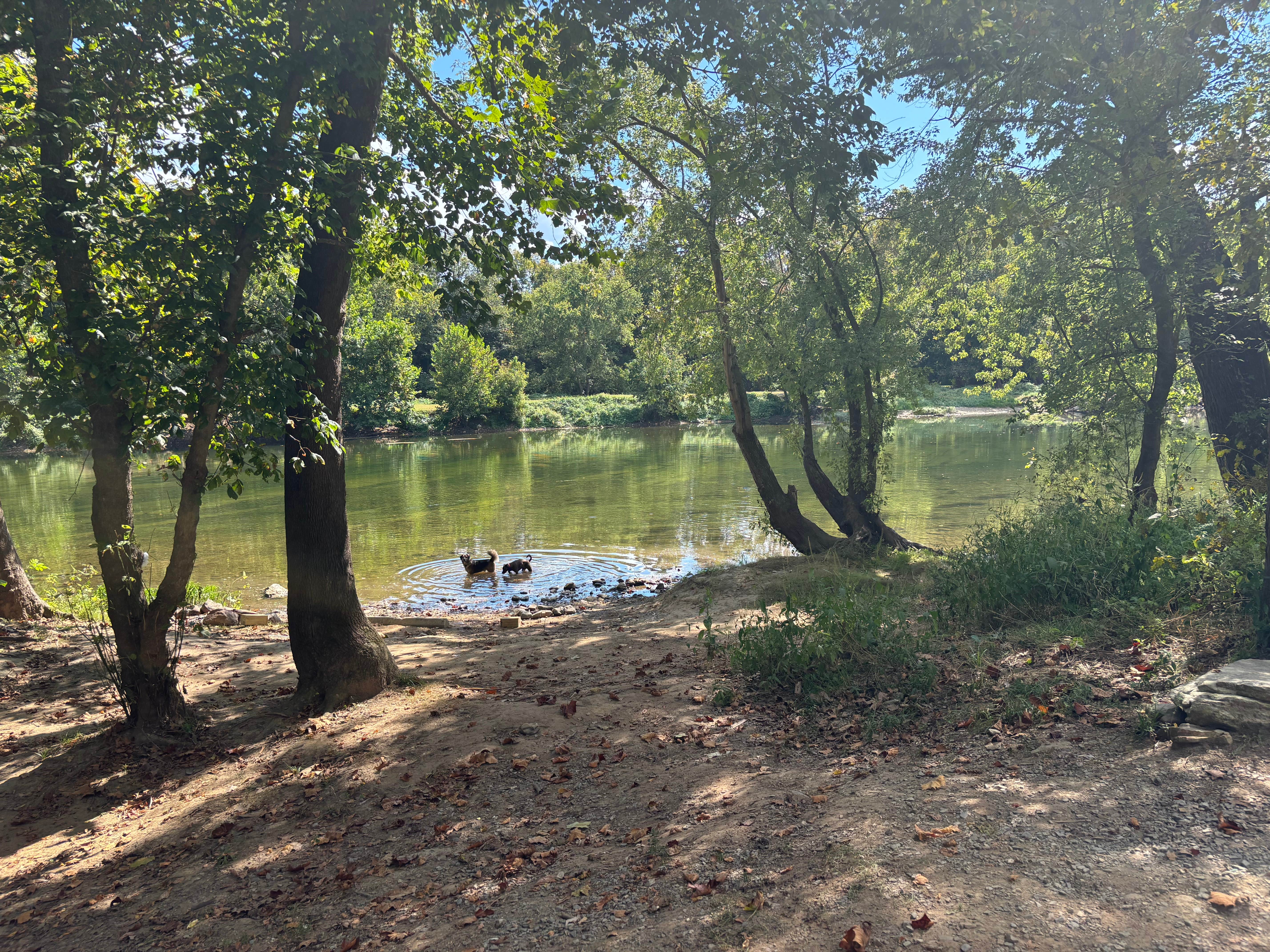 Justine I.'s photo of a dispersed camping area at South Fork Shenandoah River near Iron Gate, VA