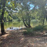 Review photo of South Fork Shenandoah River by Justine I., September 18, 2025