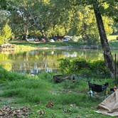 Review photo of South Fork Shenandoah River by heather , September 9, 2024