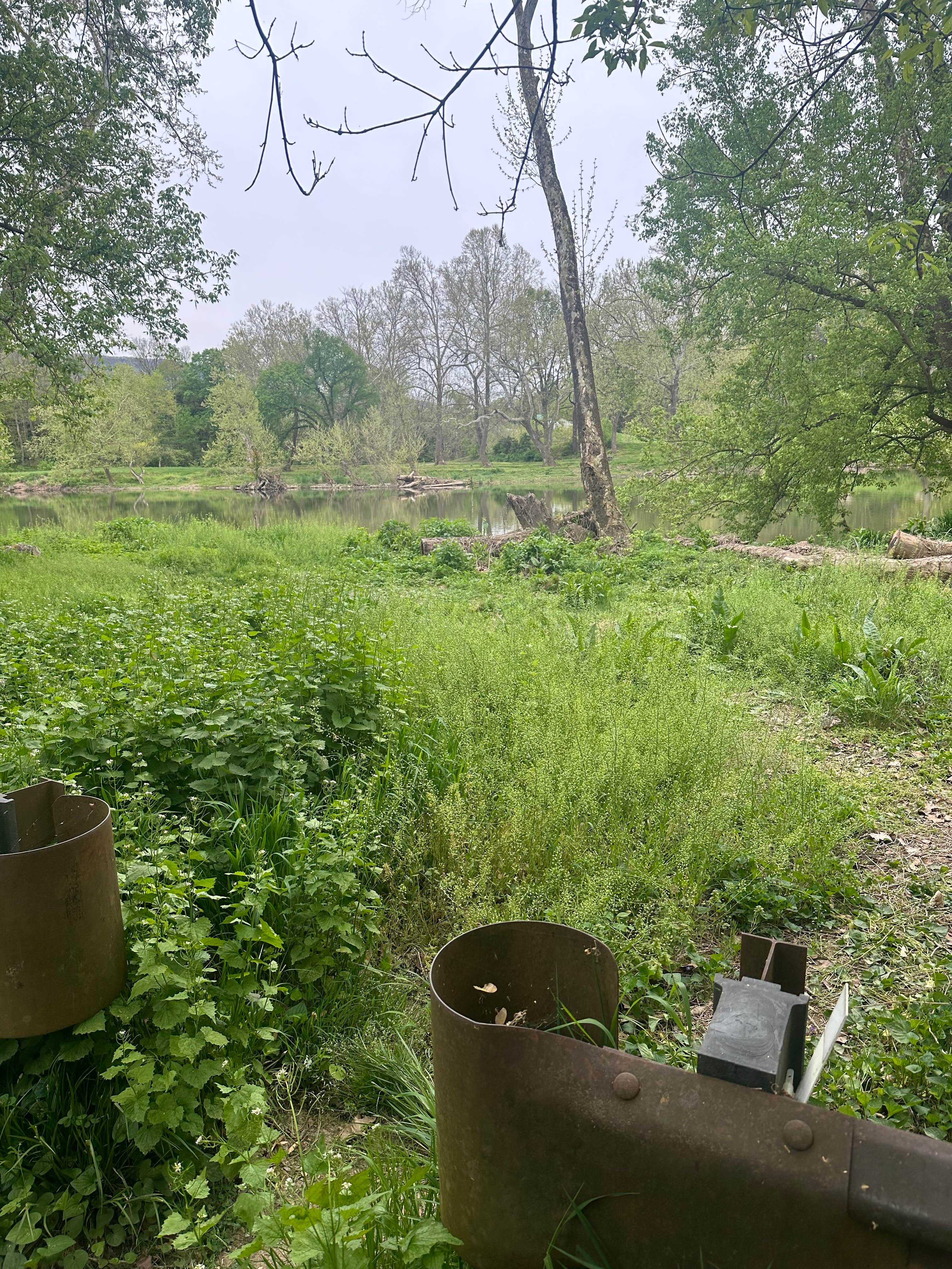 Camper-submitted photo at South Fork Shenandoah River near Rippon, WV