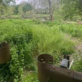 Review photo of South Fork Shenandoah River by Sumner C., April 21, 2024