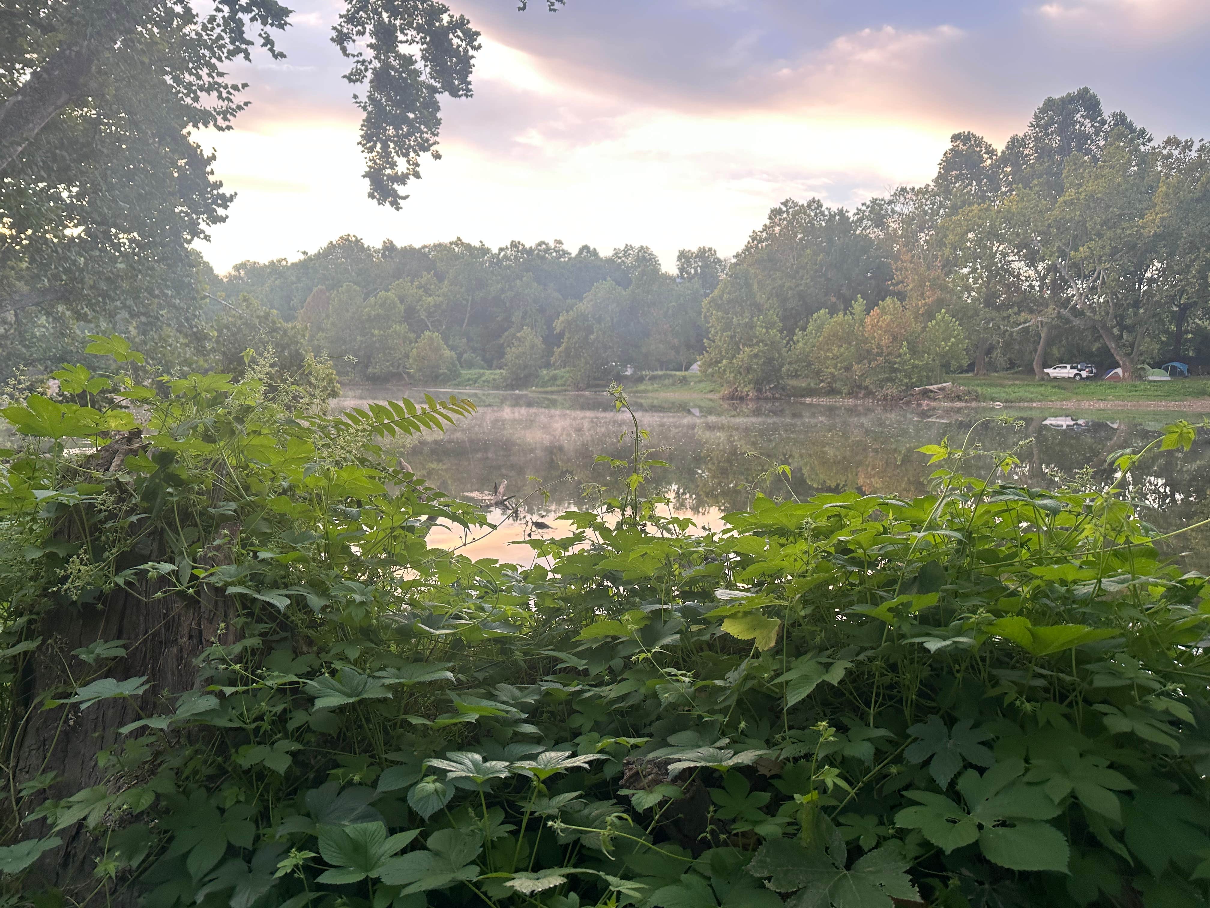 heather's photo of a dispersed camping area at South Fork Shenandoah River near Rixeyville, VA
