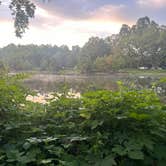 Review photo of South Fork Shenandoah River by heather , September 9, 2024