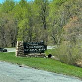 Review photo of South Fork Shenandoah River by Sumner C., April 21, 2024