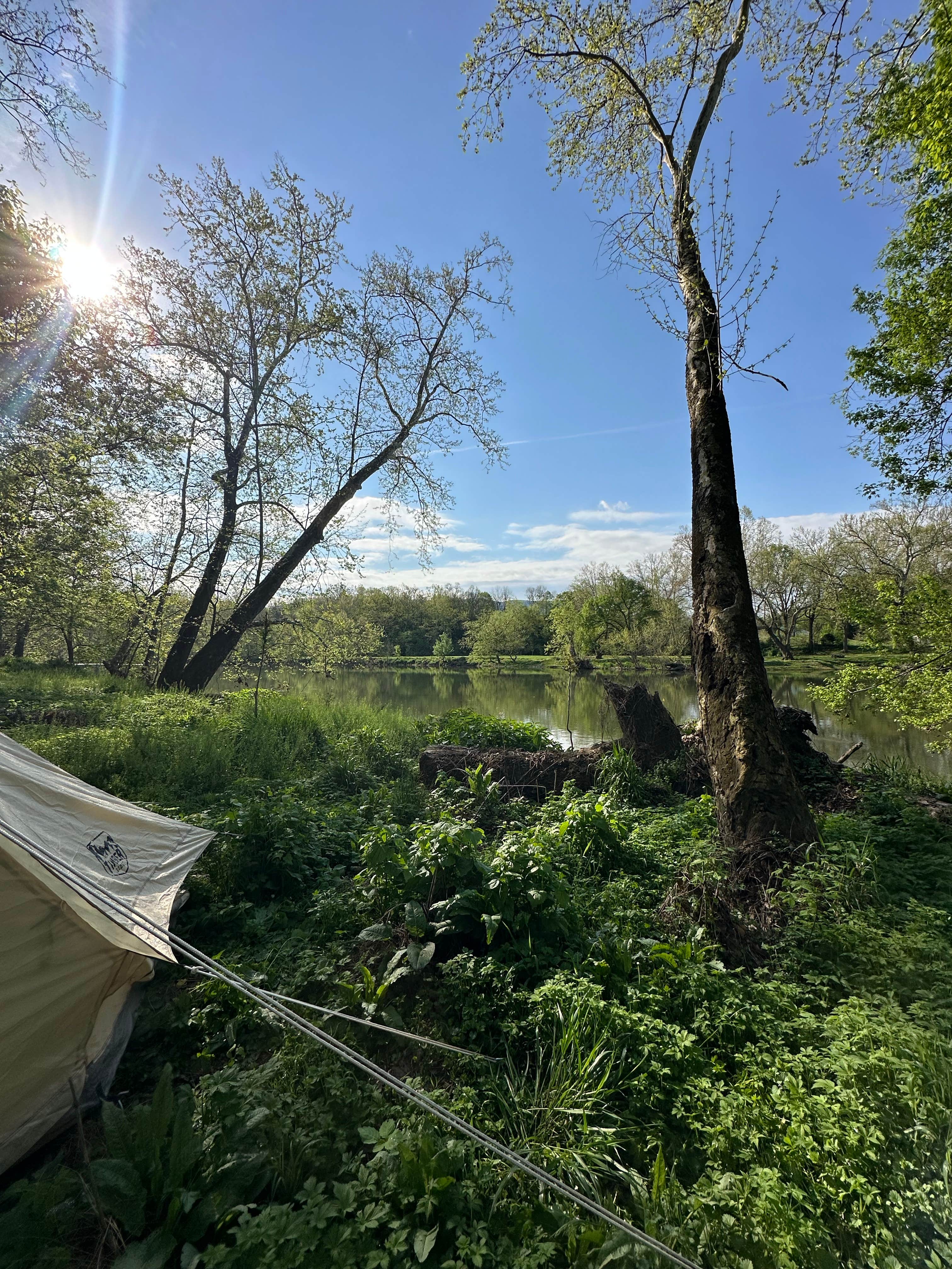 Sumner C.'s photo of a dispersed camping area at South Fork Shenandoah River near Rippon, WV