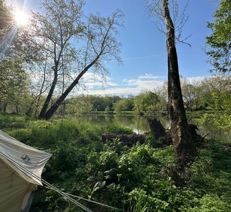 Camper-submitted photo from South Fork Shenandoah River