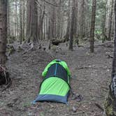 Review photo of South Fork Snoqualmie River Dispersed Site by Jon H., June 27, 2024