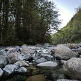 Review photo of South Fork Snoqualmie River Dispersed Site by Mary B., January 2, 2024