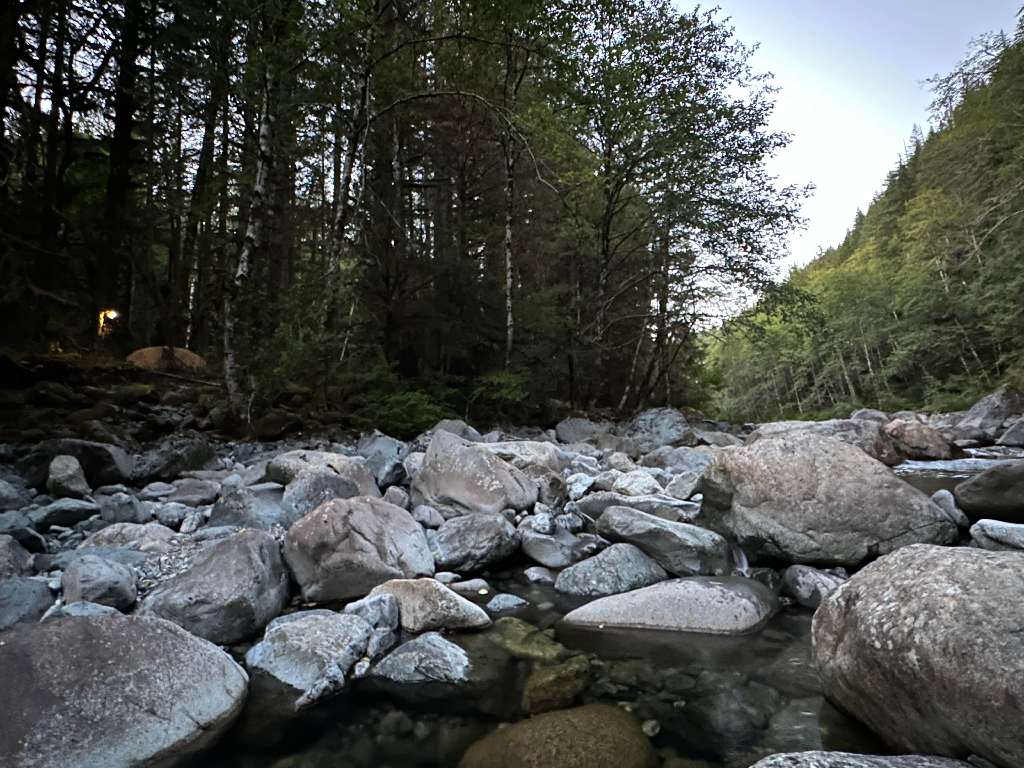 Camper submitted image from South Fork Snoqualmie River Dispersed Site - 5