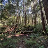 Review photo of South Fork Snoqualmie River Dispersed Site by Adrian E., July 1, 2024