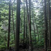 Review photo of South Fork Snoqualmie River Dispersed Site by Jon H., June 27, 2024