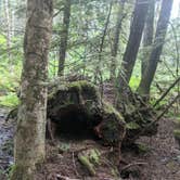 Review photo of South Fork Snoqualmie River Dispersed Site by Jon H., June 27, 2024