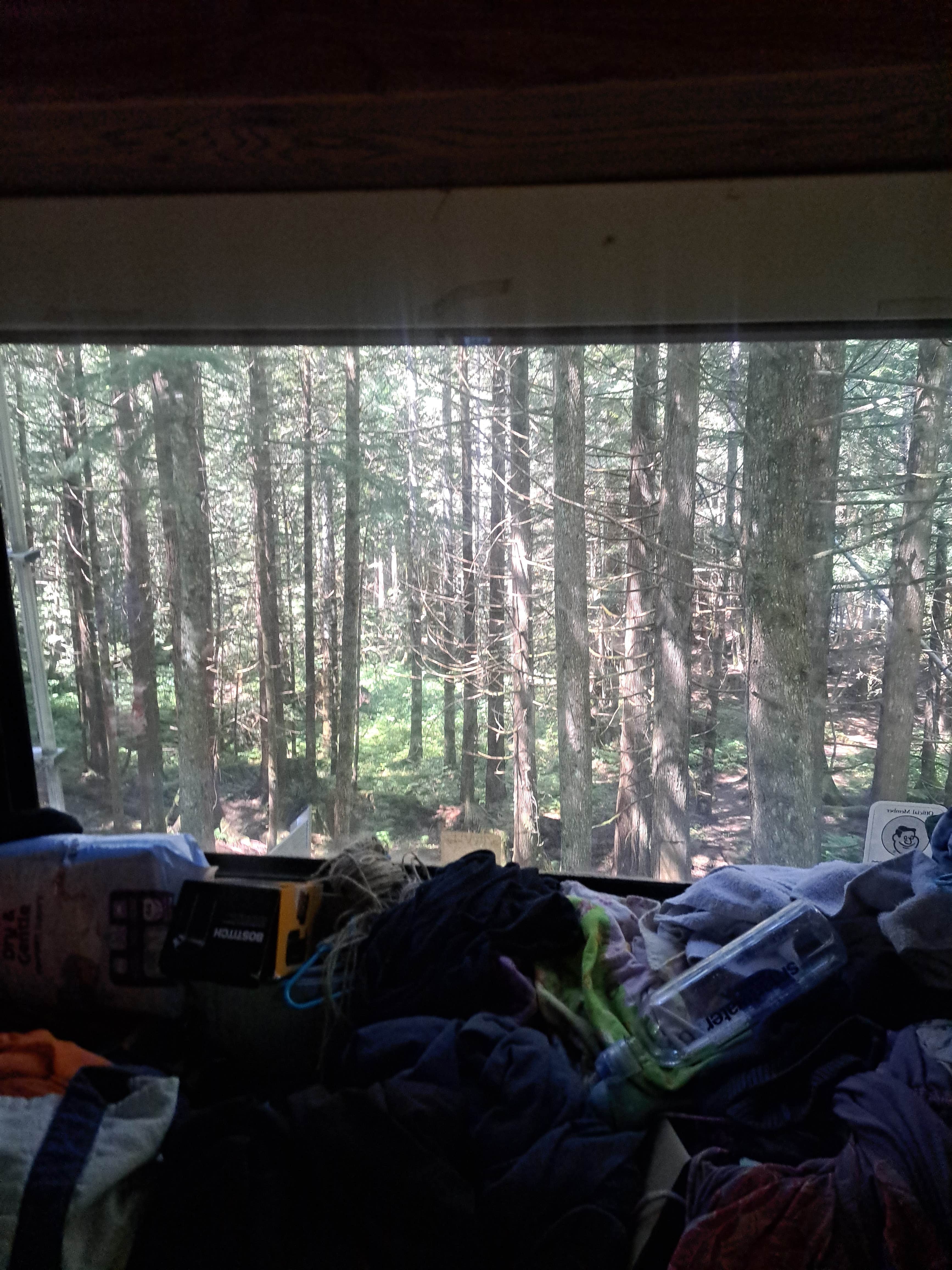 Tia A.'s photo at South Fork Snoqualmie River Dispersed Site near Snoqualmie Pass, WA