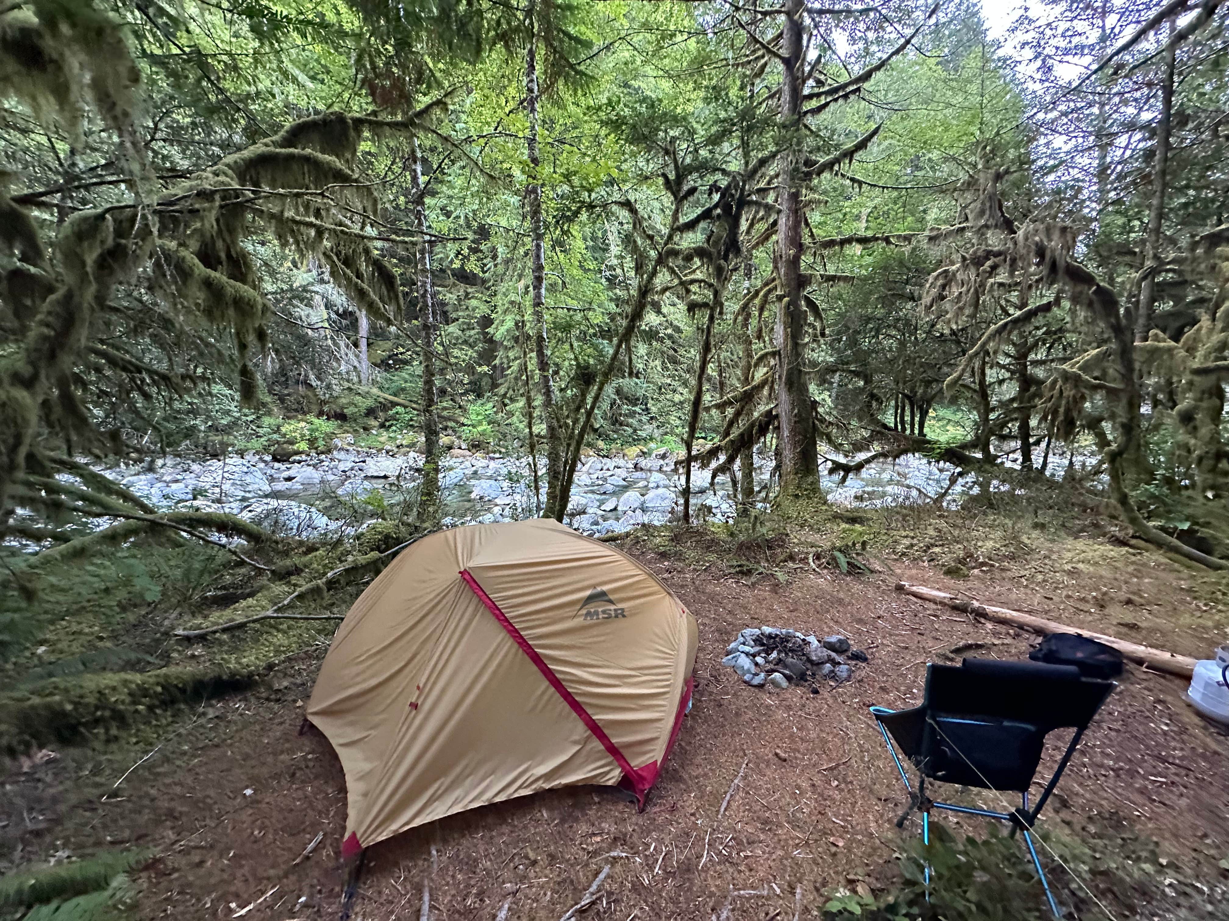 Camper-submitted photo at South Fork Snoqualmie River Dispersed Site near Lake Tapps, WA