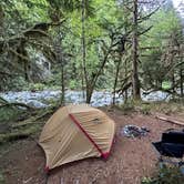 Review photo of South Fork Snoqualmie River Dispersed Site by Mary B., January 2, 2024