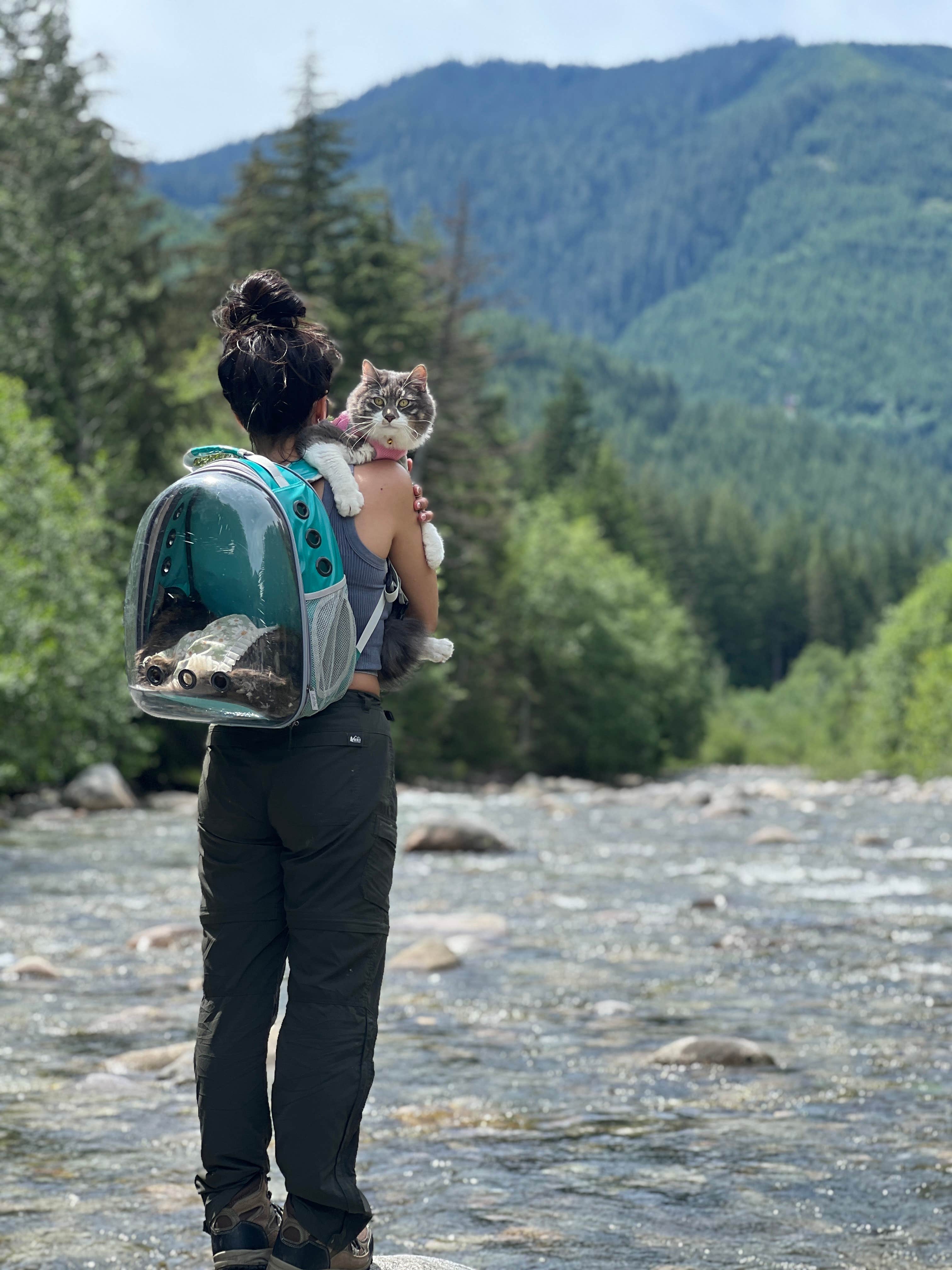 Adrian E.'s photo of camping with pets at South Fork Snoqualmie River Dispersed Site near Easton, WA