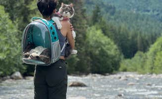 Adrian E.'s photo of camping with pets at South Fork Snoqualmie River Dispersed Site near North Bend, WA