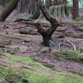 Review photo of South Fork Snoqualmie River Dispersed Site by Daniel W., September 16, 2024