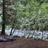 Review photo of South Fork Snoqualmie River Dispersed Site by Mary B., January 2, 2024