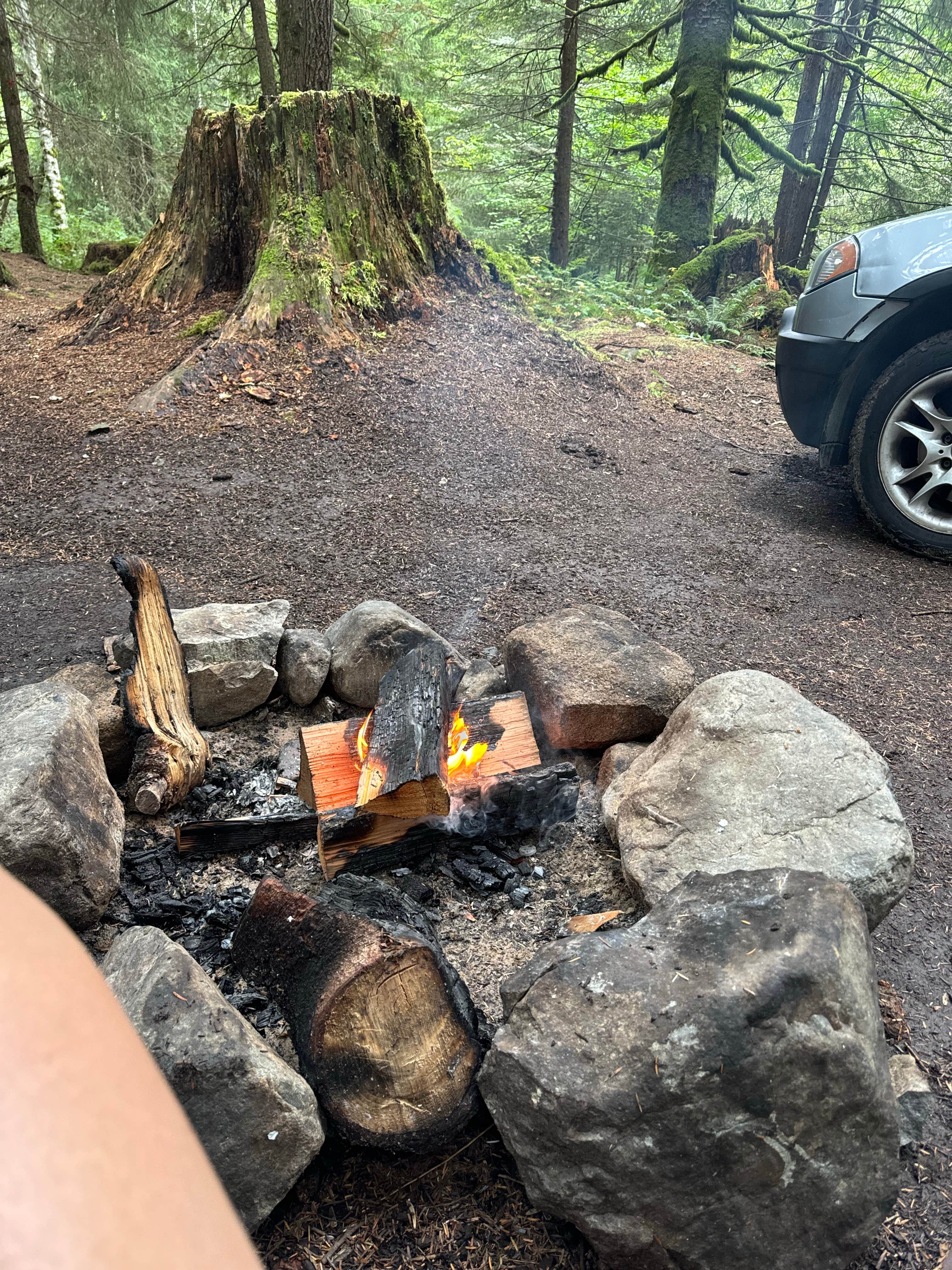 Camper-submitted photo at South Fork Snoqualmie River Dispersed Site near Lake Tapps, WA