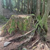 Review photo of South Fork Snoqualmie River Dispersed Site by Daniel W., September 16, 2024