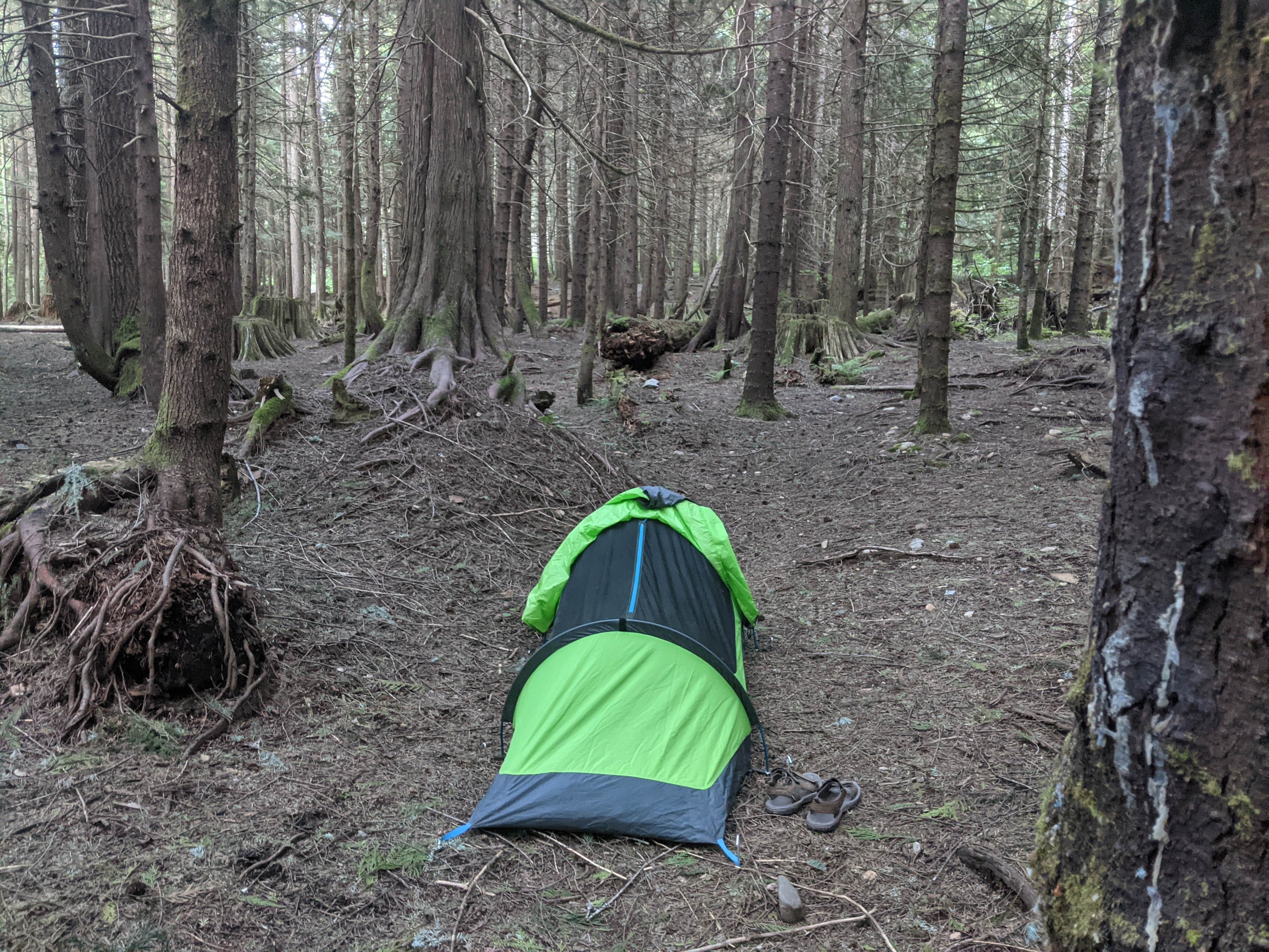 Camper submitted image from South Fork Snoqualmie River Dispersed Site - 1