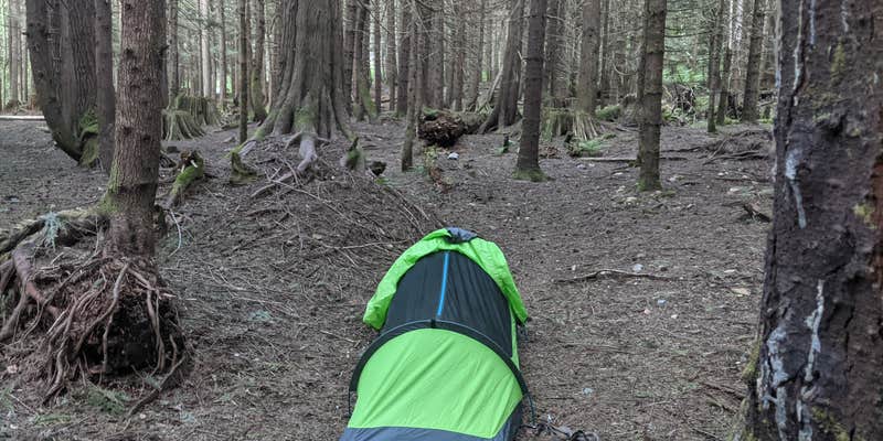 Camper submitted image from South Fork Snoqualmie River Dispersed Site