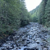 Review photo of South Fork Snoqualmie River Dispersed Site by Mary B., January 2, 2024
