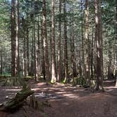 Review photo of South Fork Snoqualmie River Dispersed Site by Daniel W., September 16, 2024