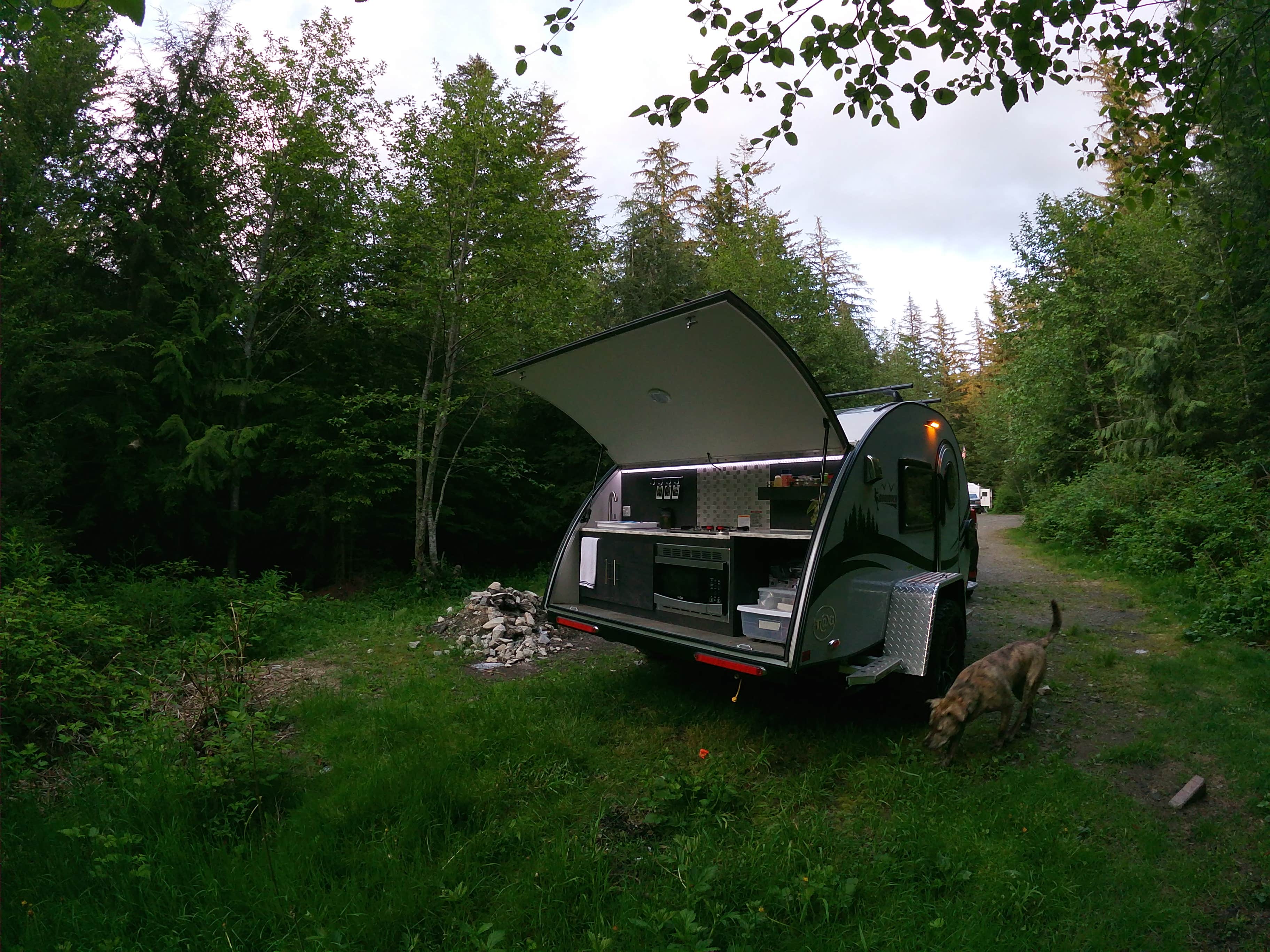 Parker C.'s photo of camping with pets at South Fork Snoqualmie River Dispersed Site near Black Diamond, WA