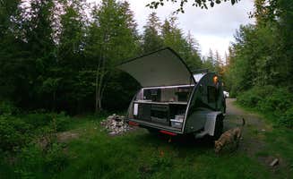 Parker C.'s photo of camping with pets at South Fork Snoqualmie River Dispersed Site near Enumclaw, WA