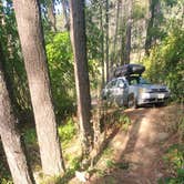 Review photo of South Hayes Gulch on Bottle Bay Road by Lincoln H., August 23, 2024